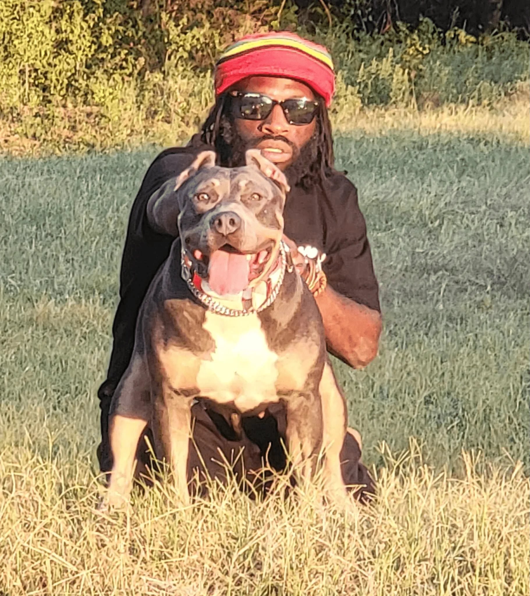 Life at Bullies Galore Kennels - Happy American Bully Dogs in Savannah GA 4