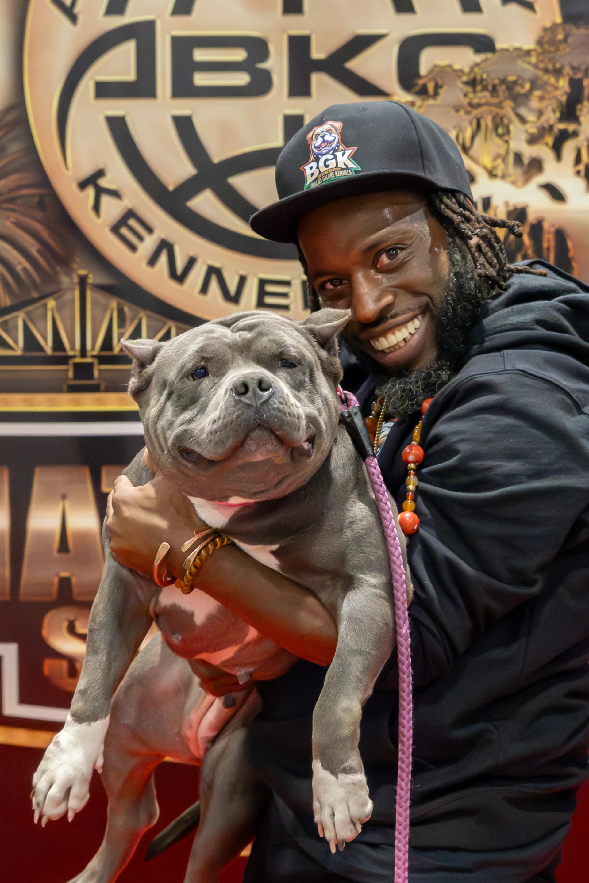 Blue Haze Champion American Bully Profile - Show Quality Female
